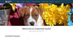 Desktop Screenshot of importedjacks.com