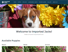 Tablet Screenshot of importedjacks.com